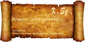 Knausz Szilveszter névjegykártya
